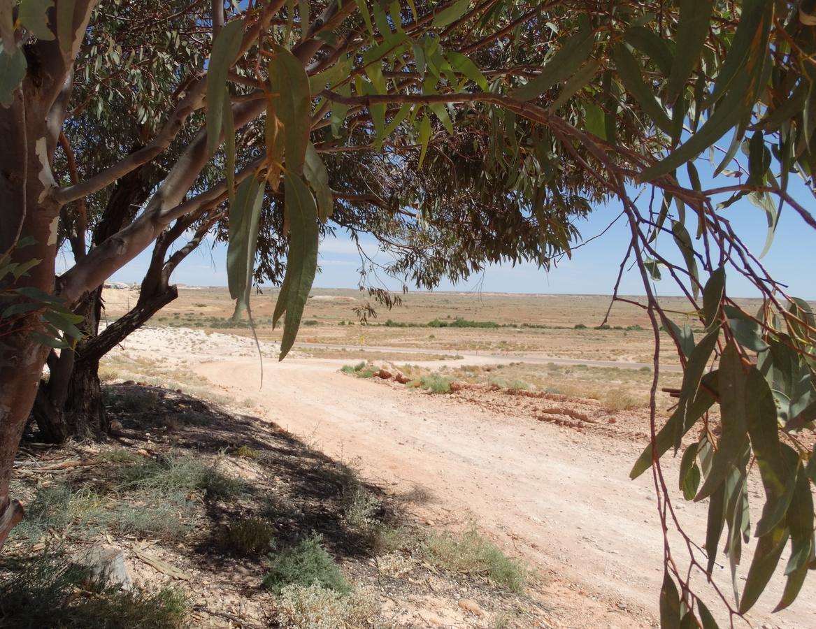 Dinky Di'S Dugout Villa Coober Pedy Kültér fotó
